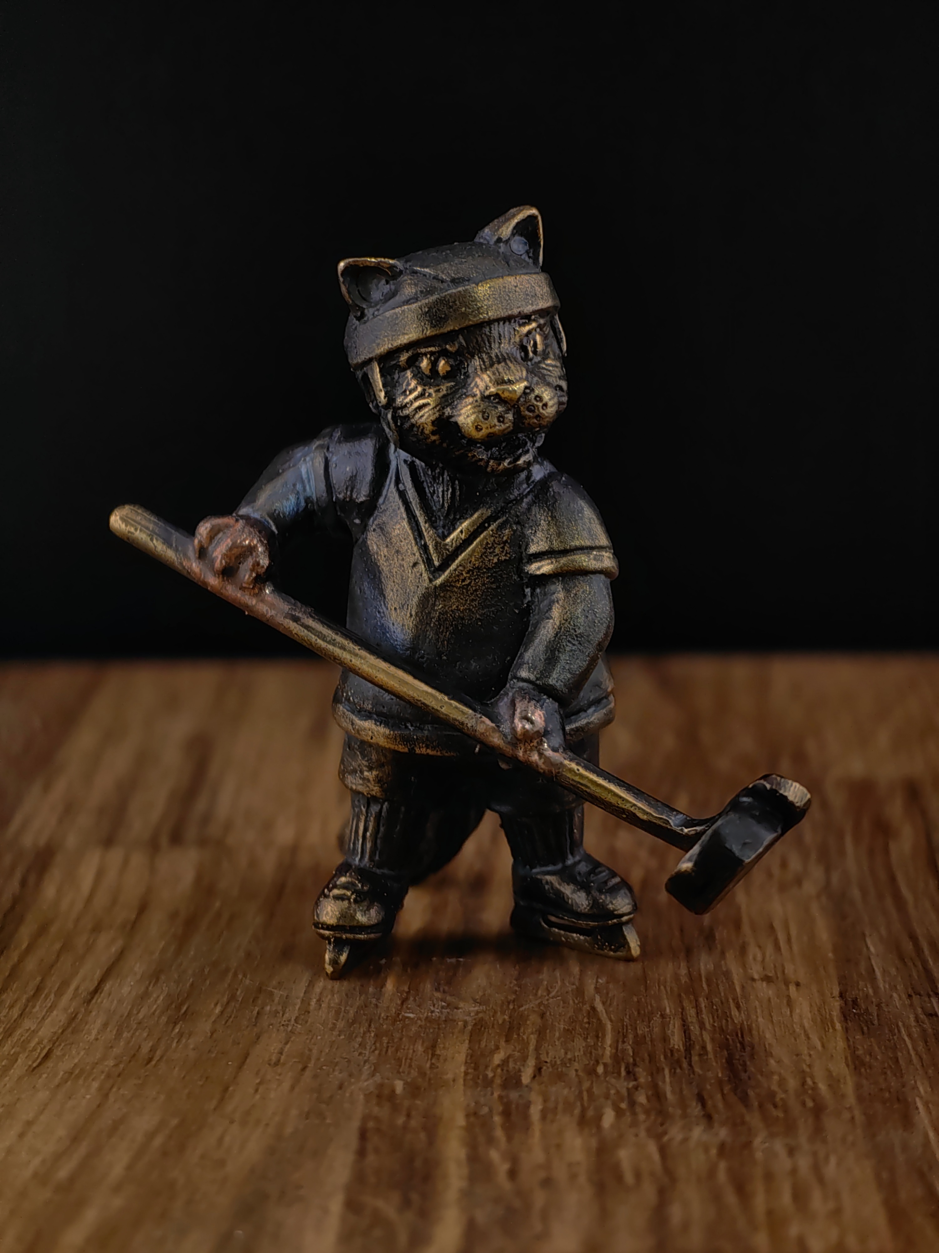 Кот-хоккеист